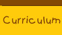 Curriculum