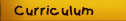 Curriculum