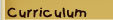 Curriculum